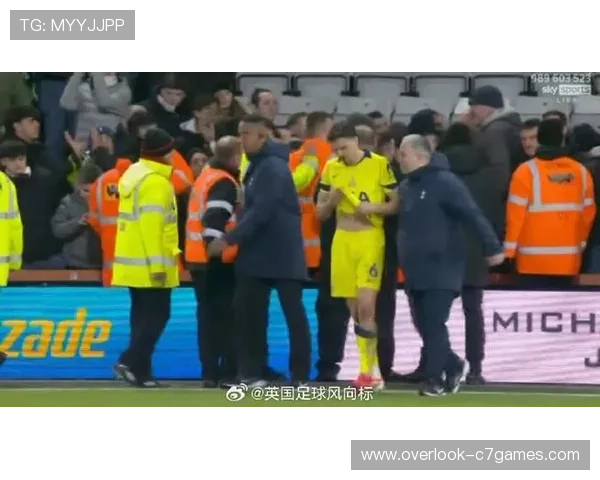 伯恩茅斯俱乐部发布最新动态：球队表现亮眼引发球迷热议