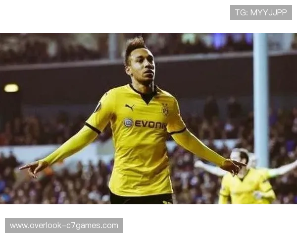 汉堡俱乐部新闻：球队新赛季阵容调整与训练动态解析